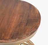 Classic Home Peralta 24" Counter Stool Brass Model 53003909